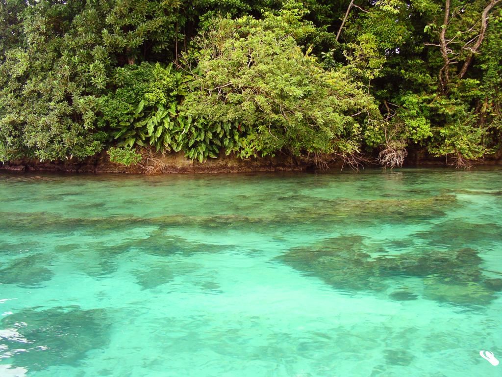 MiAmbiente extiende cierre de Isla Escudo de Veraguas hasta 2026, con excepción de 30 días para pescar langosta