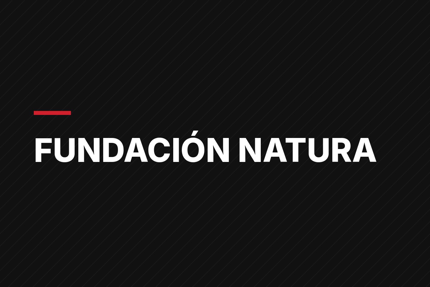 Fundación Natura ha gestionado más de $160 millones para conservación en Panamá desde 1991