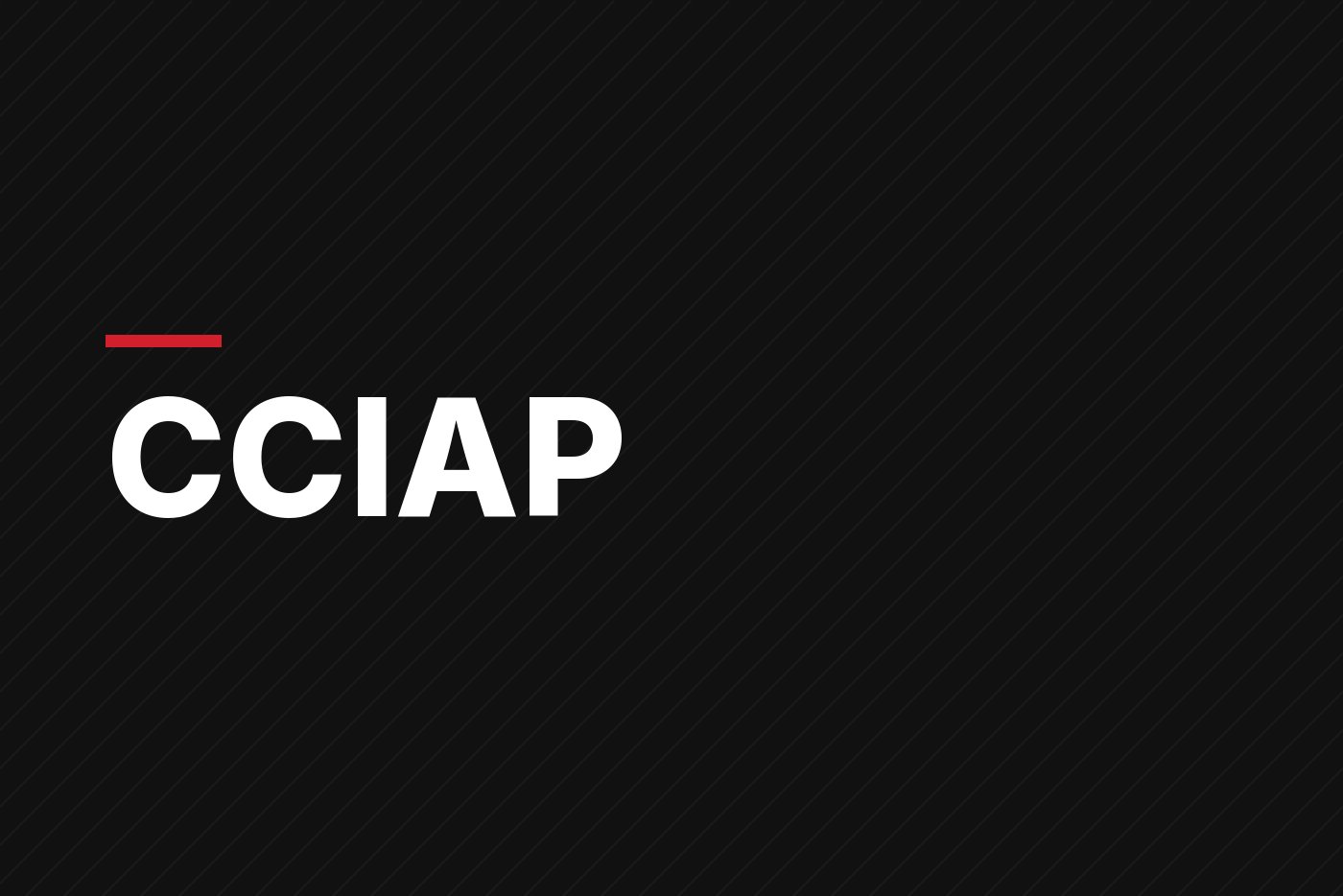 CCIAP plantea reglas claras, Río Indio y mina como retos para dinamizar la economía